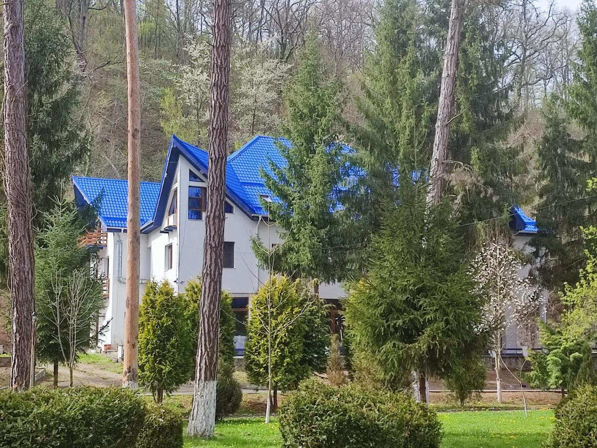 Hotel Parc Geoagiu Băi Екстериор снимка